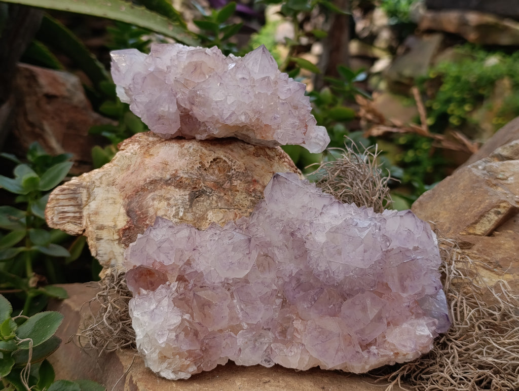 Natural Spirit Quartz Clusters x 2 From Boekenhouthoek, South Africa - Toprock Gemstones and Minerals 