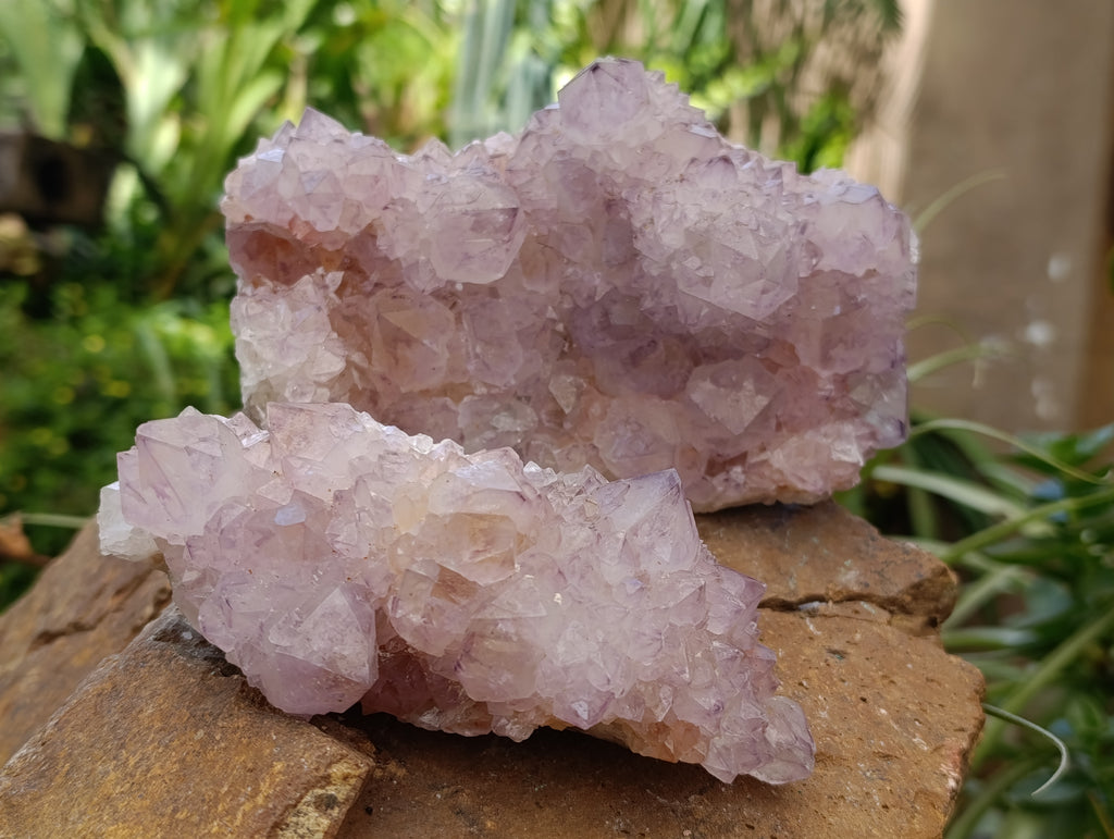 Natural Spirit Quartz Clusters x 2 From Boekenhouthoek, South Africa - Toprock Gemstones and Minerals 