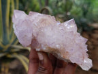 Natural Spirit Quartz Clusters x 2 From Boekenhouthoek, South Africa - Toprock Gemstones and Minerals 