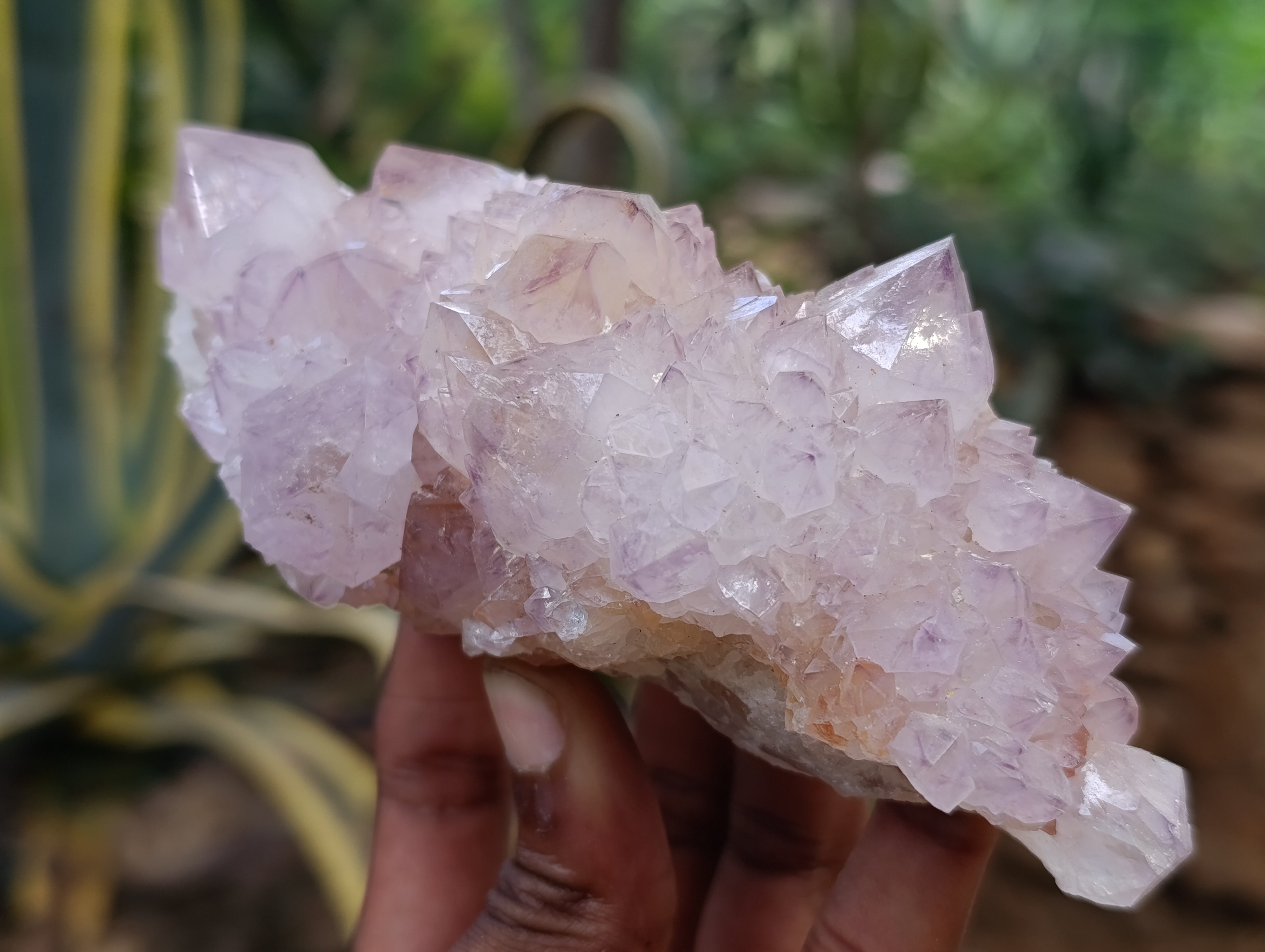 Natural Spirit Quartz Clusters x 2 From Boekenhouthoek, South Africa - Toprock Gemstones and Minerals 