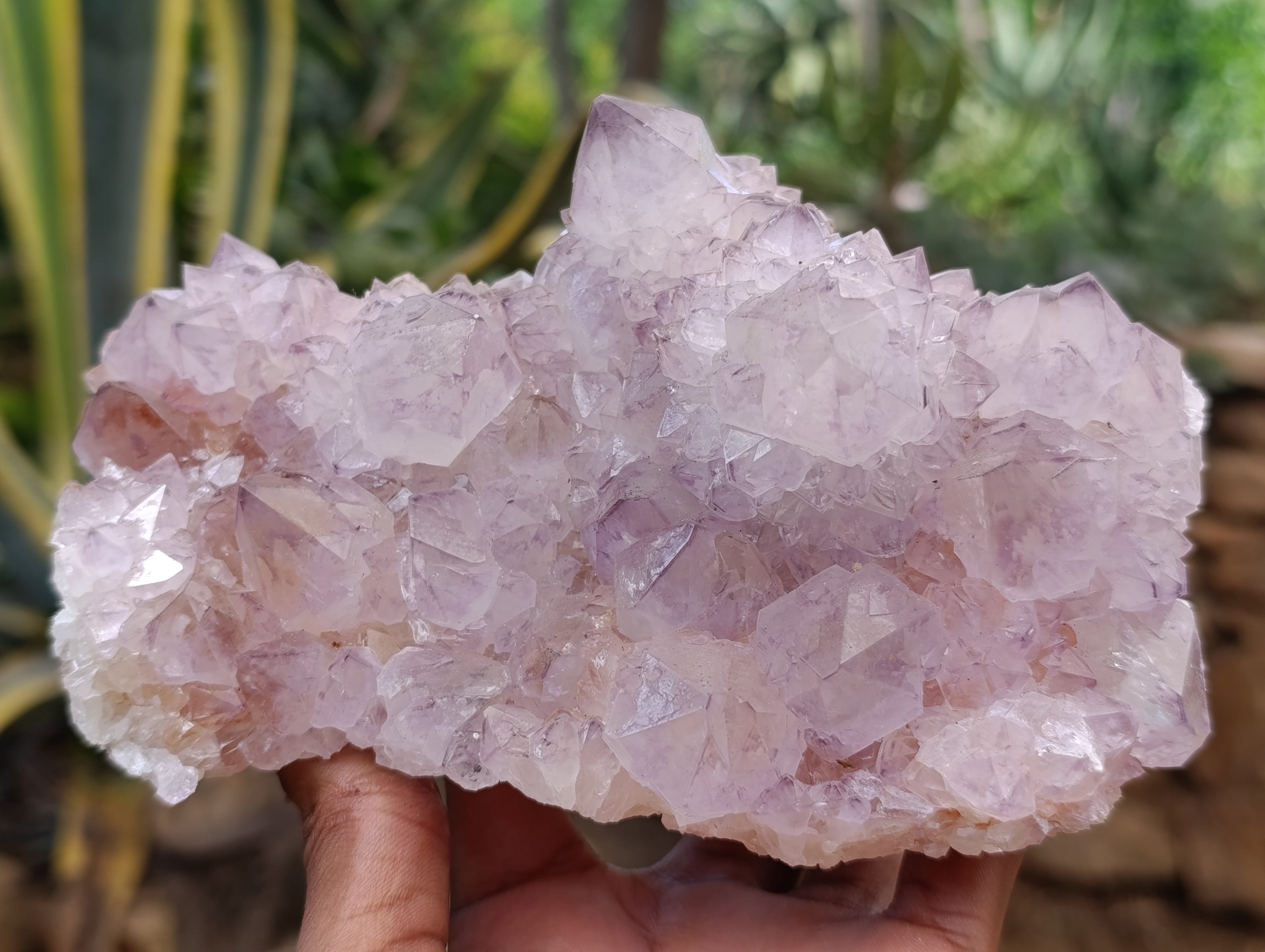 Natural Spirit Quartz Clusters x 2 From Boekenhouthoek, South Africa - Toprock Gemstones and Minerals 