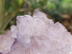 Natural Spirit Quartz Clusters x 2 From Boekenhouthoek, South Africa - Toprock Gemstones and Minerals 