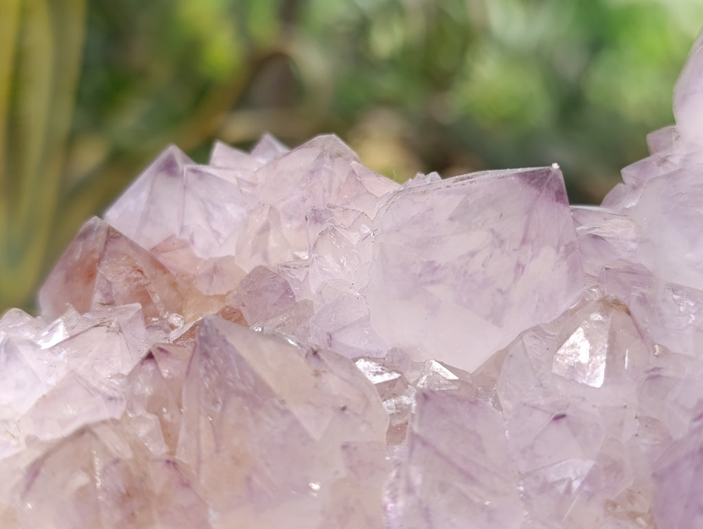 Natural Spirit Quartz Clusters x 2 From Boekenhouthoek, South Africa - Toprock Gemstones and Minerals 