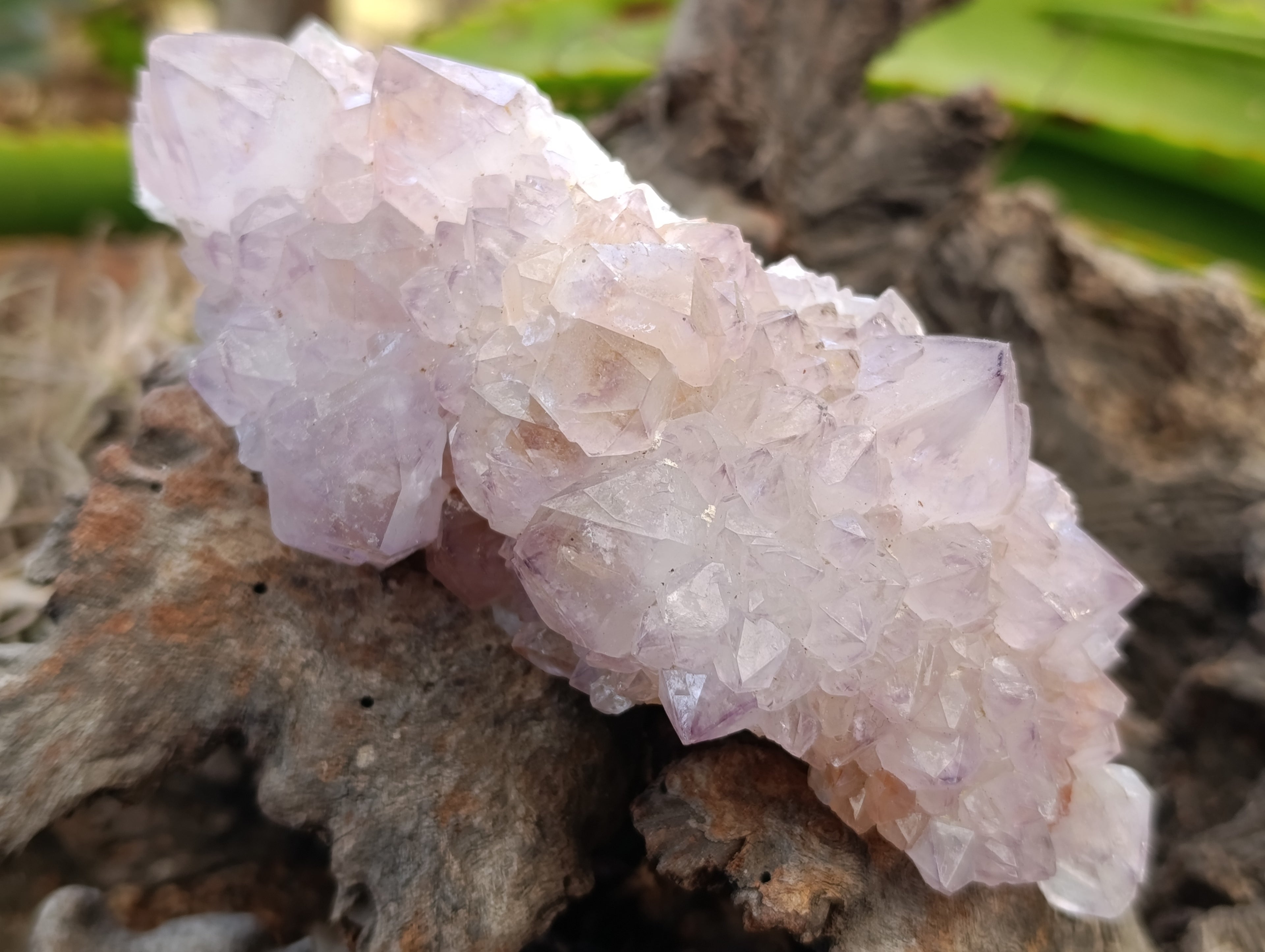 Natural Spirit Quartz Clusters x 2 From Boekenhouthoek, South Africa - Toprock Gemstones and Minerals 