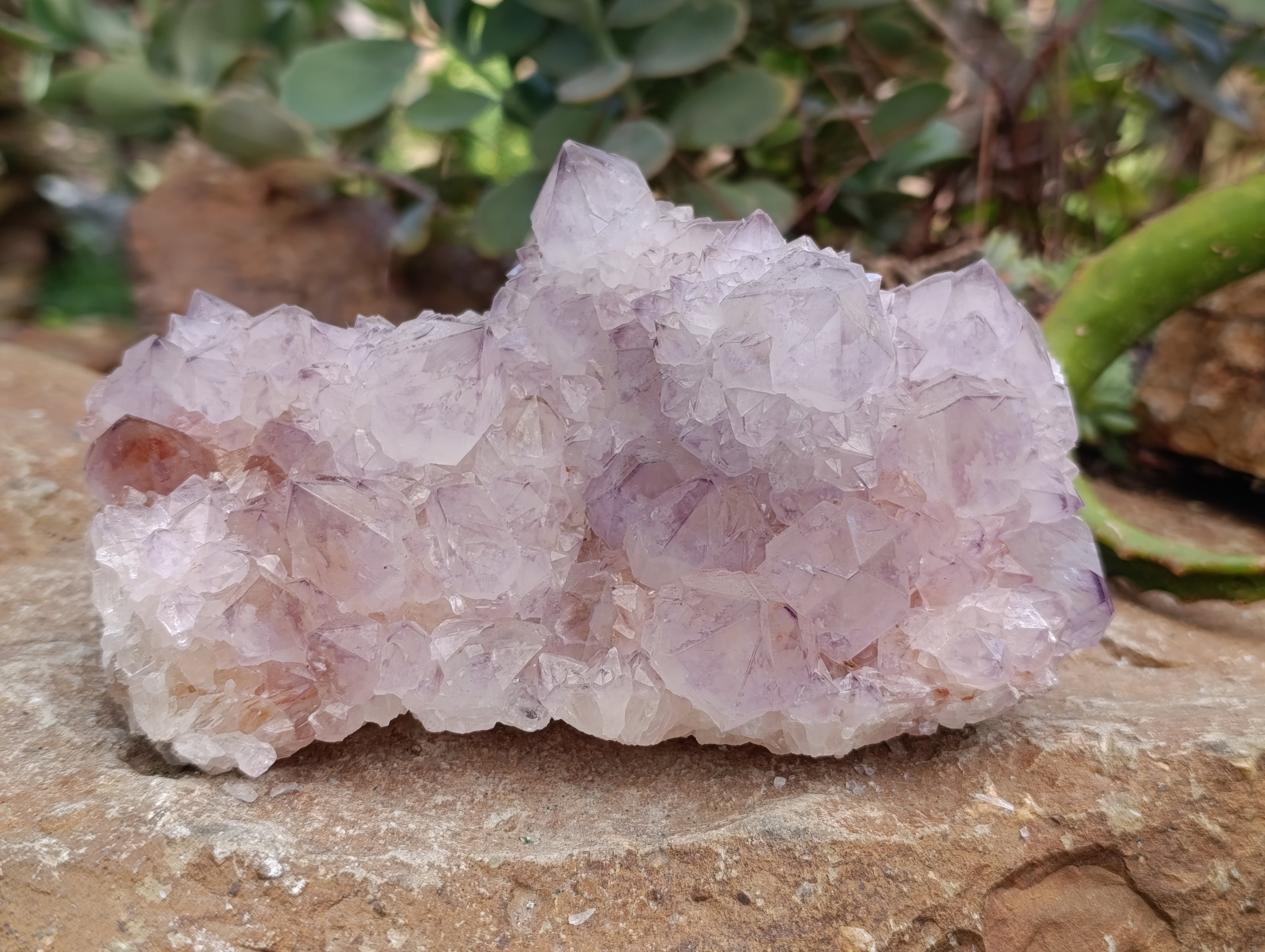 Natural Spirit Quartz Clusters x 2 From Boekenhouthoek, South Africa - Toprock Gemstones and Minerals 