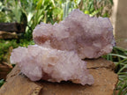 Natural Spirit Quartz Clusters x 2 From Boekenhouthoek, South Africa - Toprock Gemstones and Minerals 