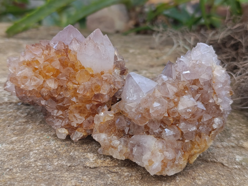 Natural Spirit Quartz Clusters x 6 From Boekenhouthoek, South Africa - Toprock Gemstones and Minerals 