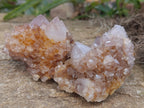 Natural Spirit Quartz Clusters x 6 From Boekenhouthoek, South Africa - Toprock Gemstones and Minerals 