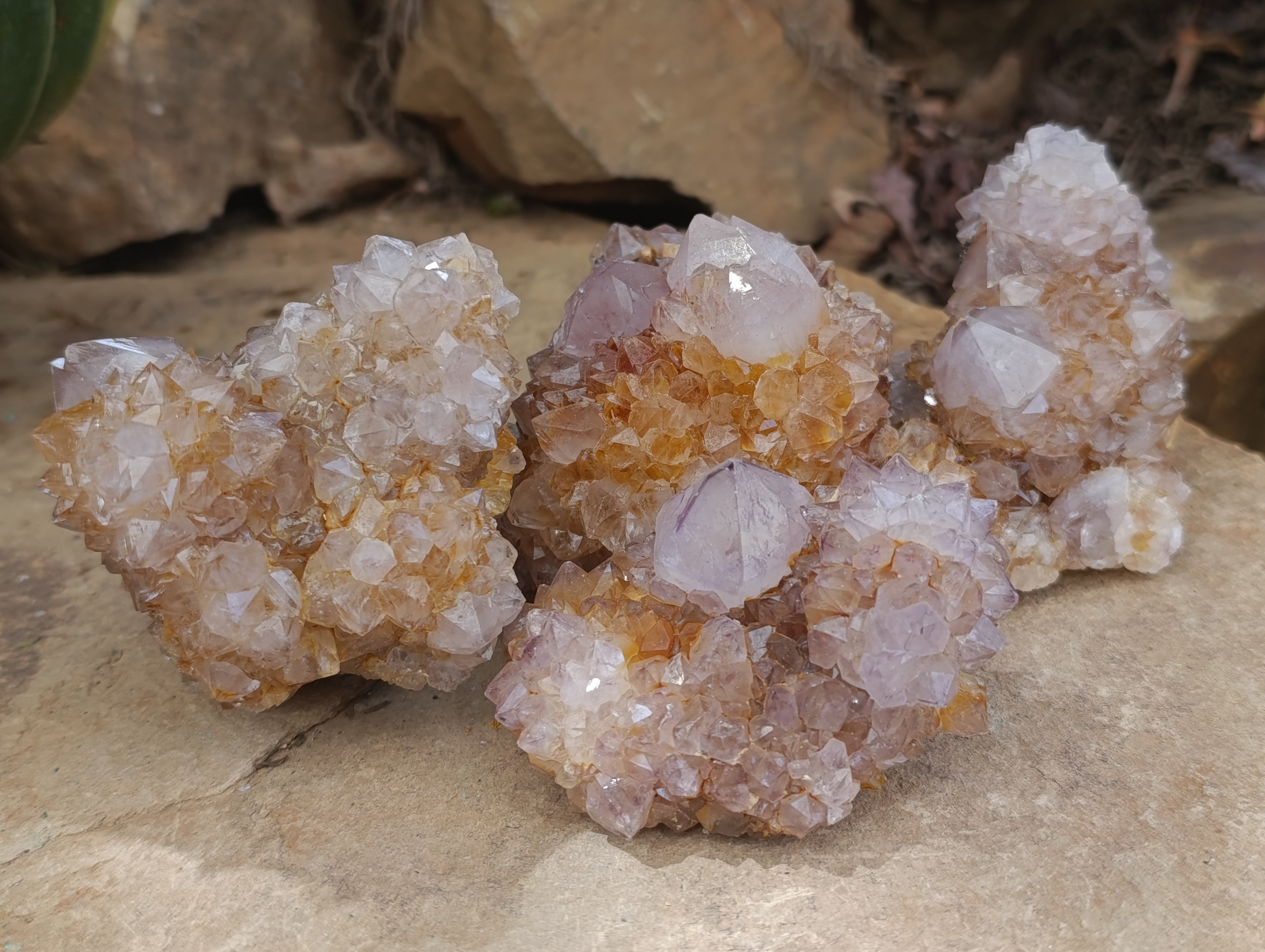 Natural Spirit Quartz Clusters x 6 From Boekenhouthoek, South Africa - Toprock Gemstones and Minerals 