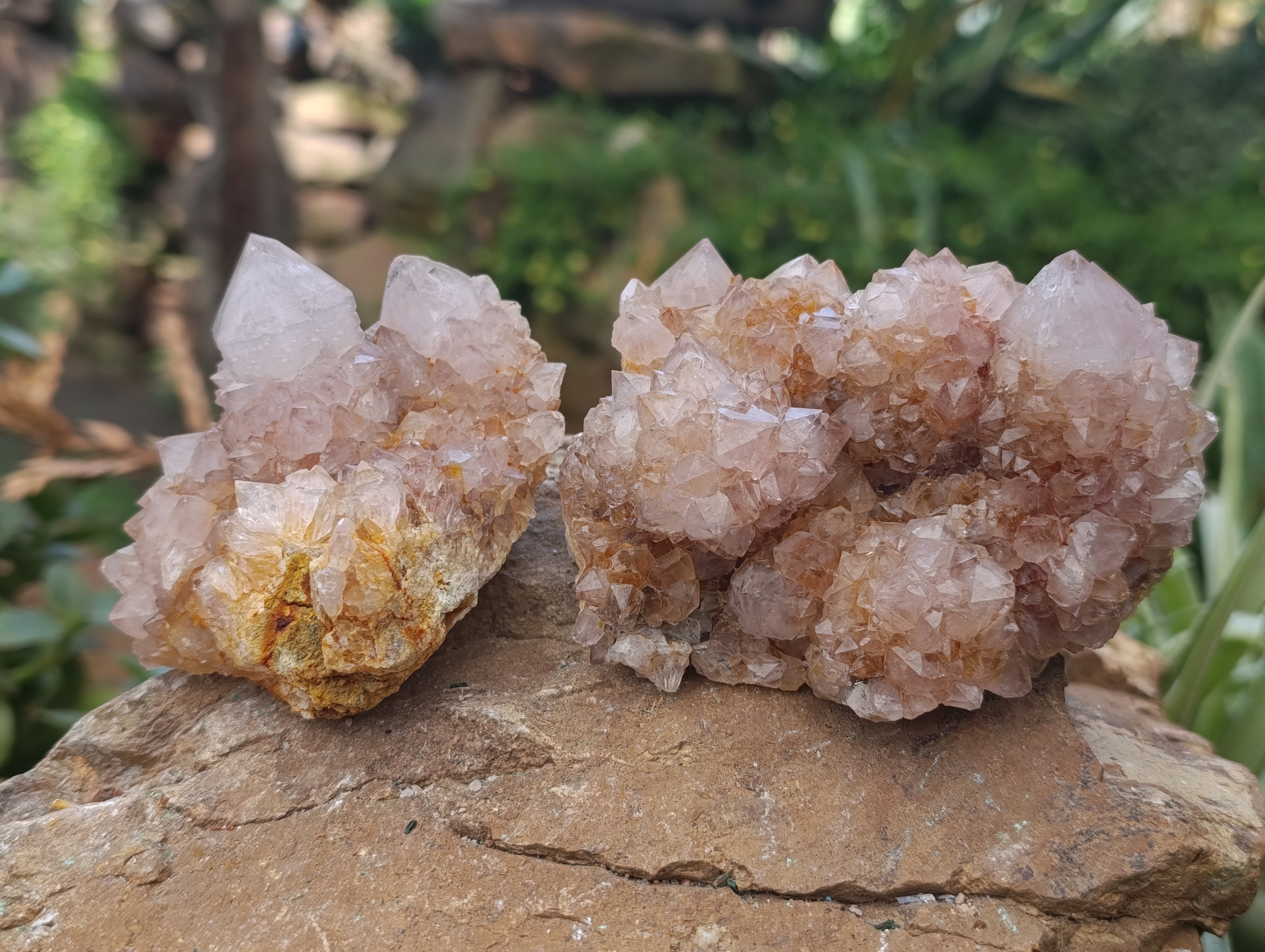 Natural Spirit Quartz Clusters x 6 From Boekenhouthoek, South Africa - Toprock Gemstones and Minerals 