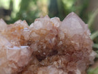Natural Spirit Quartz Clusters x 6 From Boekenhouthoek, South Africa - Toprock Gemstones and Minerals 