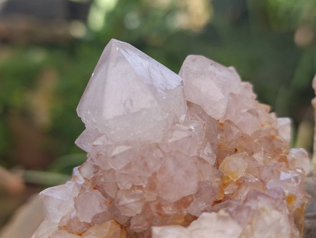 Natural Spirit Quartz Clusters x 6 From Boekenhouthoek, South Africa - Toprock Gemstones and Minerals 