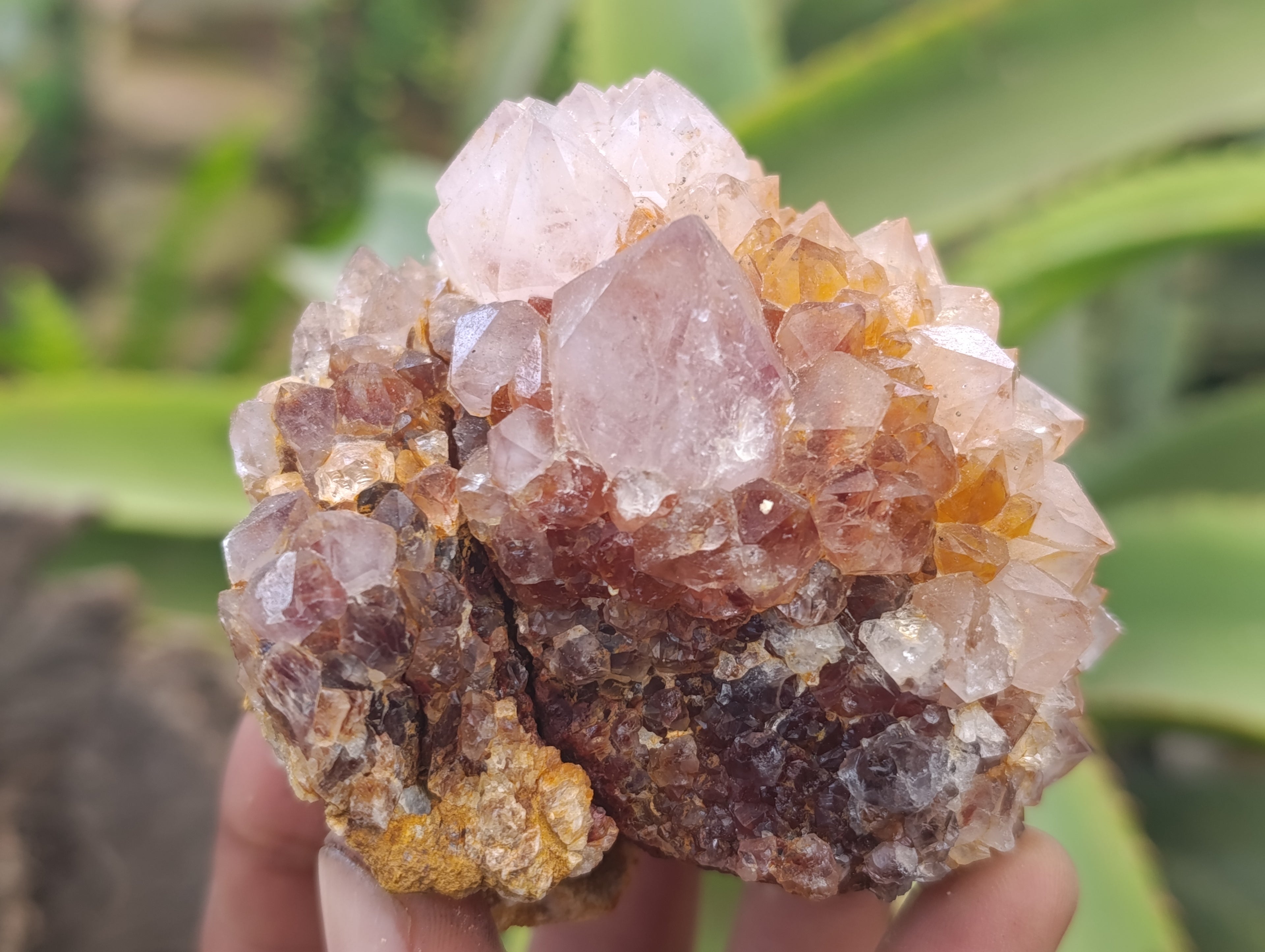 Natural Spirit Quartz Clusters x 6 From Boekenhouthoek, South Africa - Toprock Gemstones and Minerals 