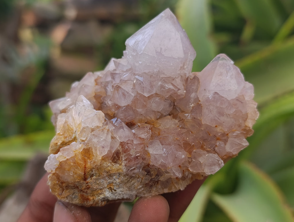 Natural Spirit Quartz Clusters x 6 From Boekenhouthoek, South Africa - Toprock Gemstones and Minerals 