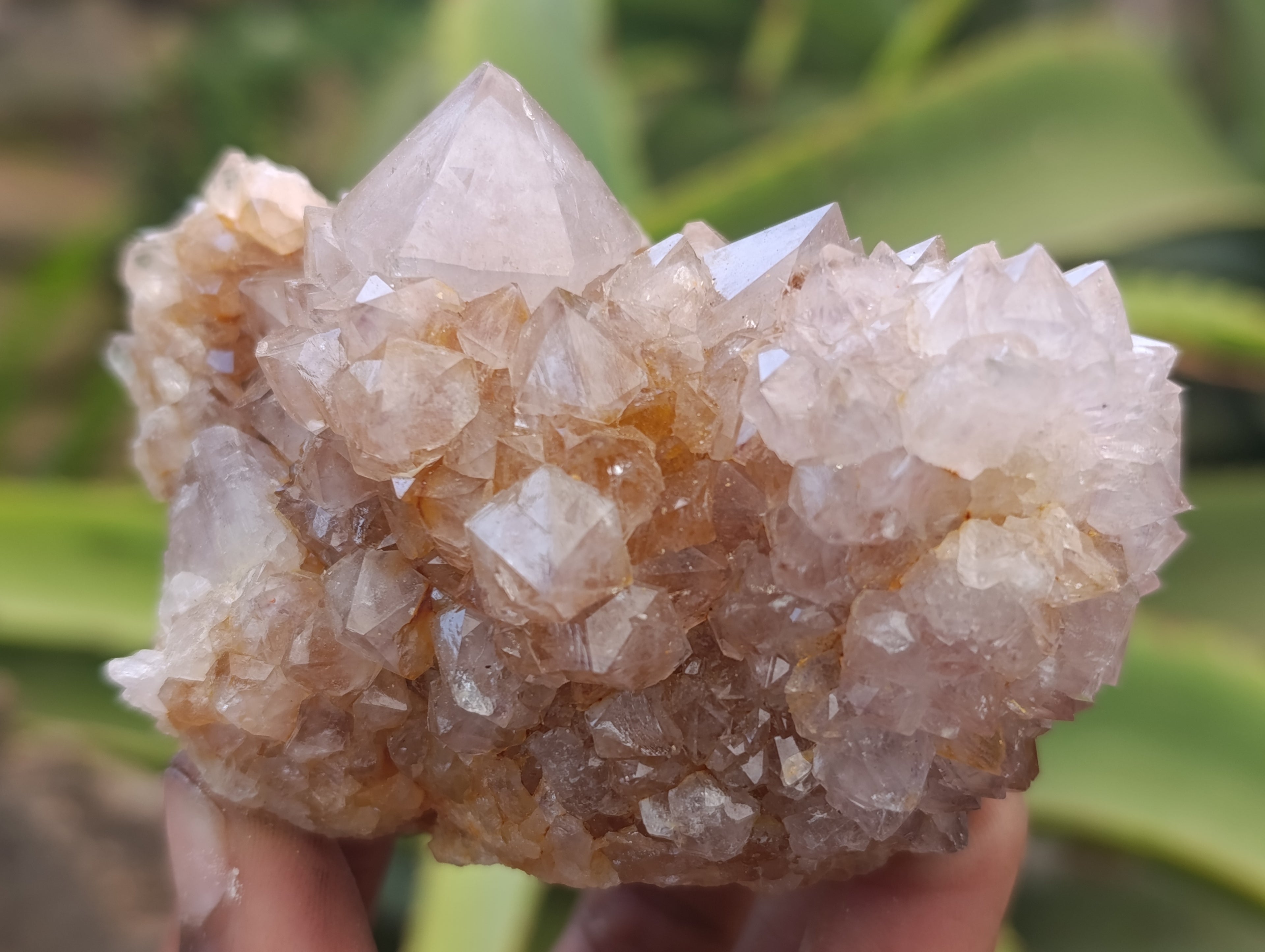 Natural Spirit Quartz Clusters x 6 From Boekenhouthoek, South Africa - Toprock Gemstones and Minerals 