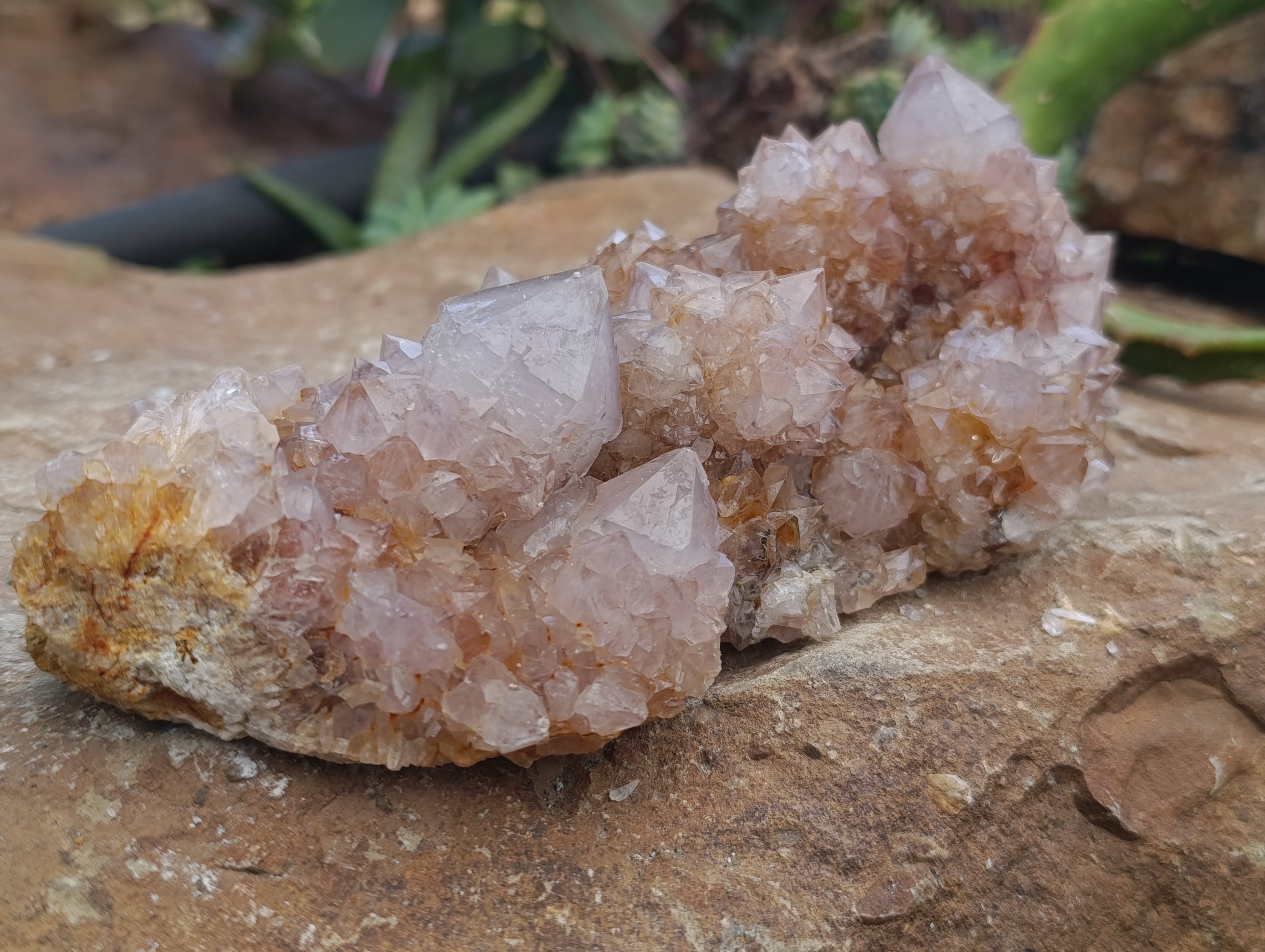 Natural Spirit Quartz Clusters x 6 From Boekenhouthoek, South Africa - Toprock Gemstones and Minerals 