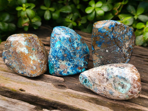 Polished Shattuckite with Azurite and Chrysocolla Free Forms x 4 From Congo
