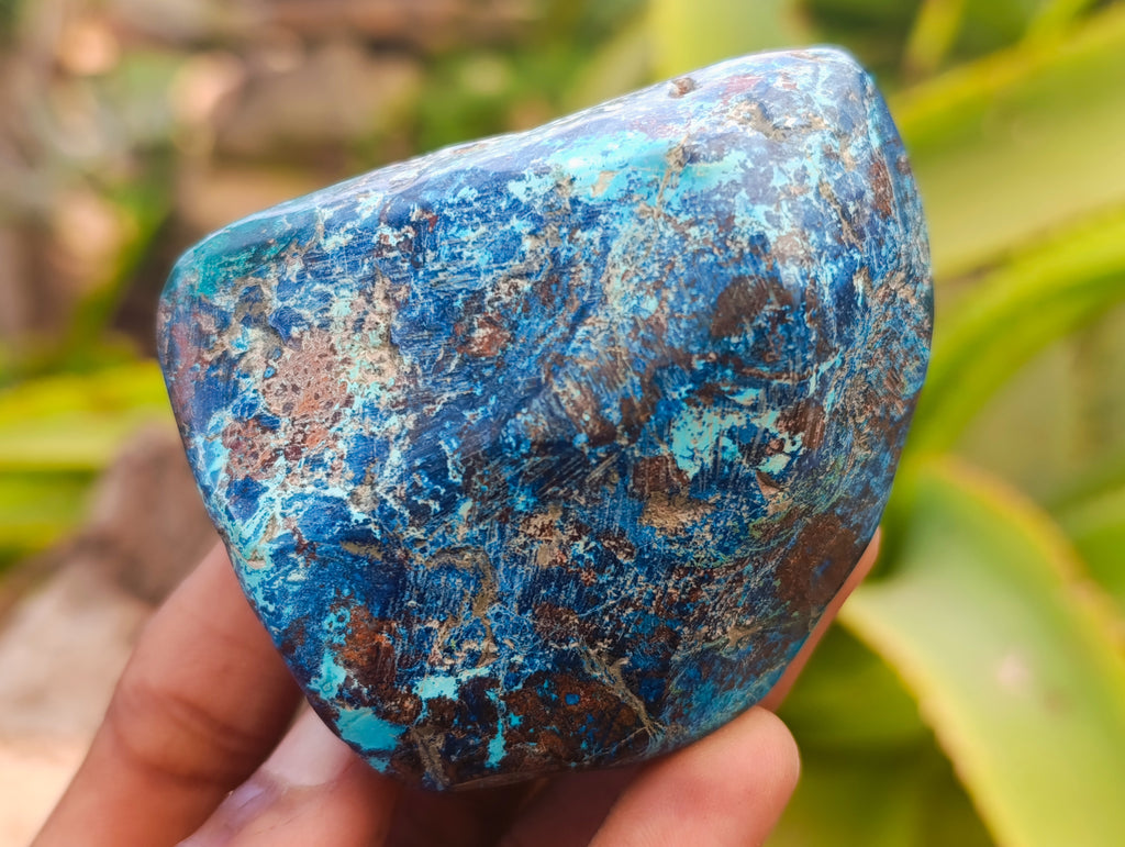Polished Shattuckite with Azurite and Chrysocolla Free Forms x 4 From Congo - Toprock Gemstones and Minerals 