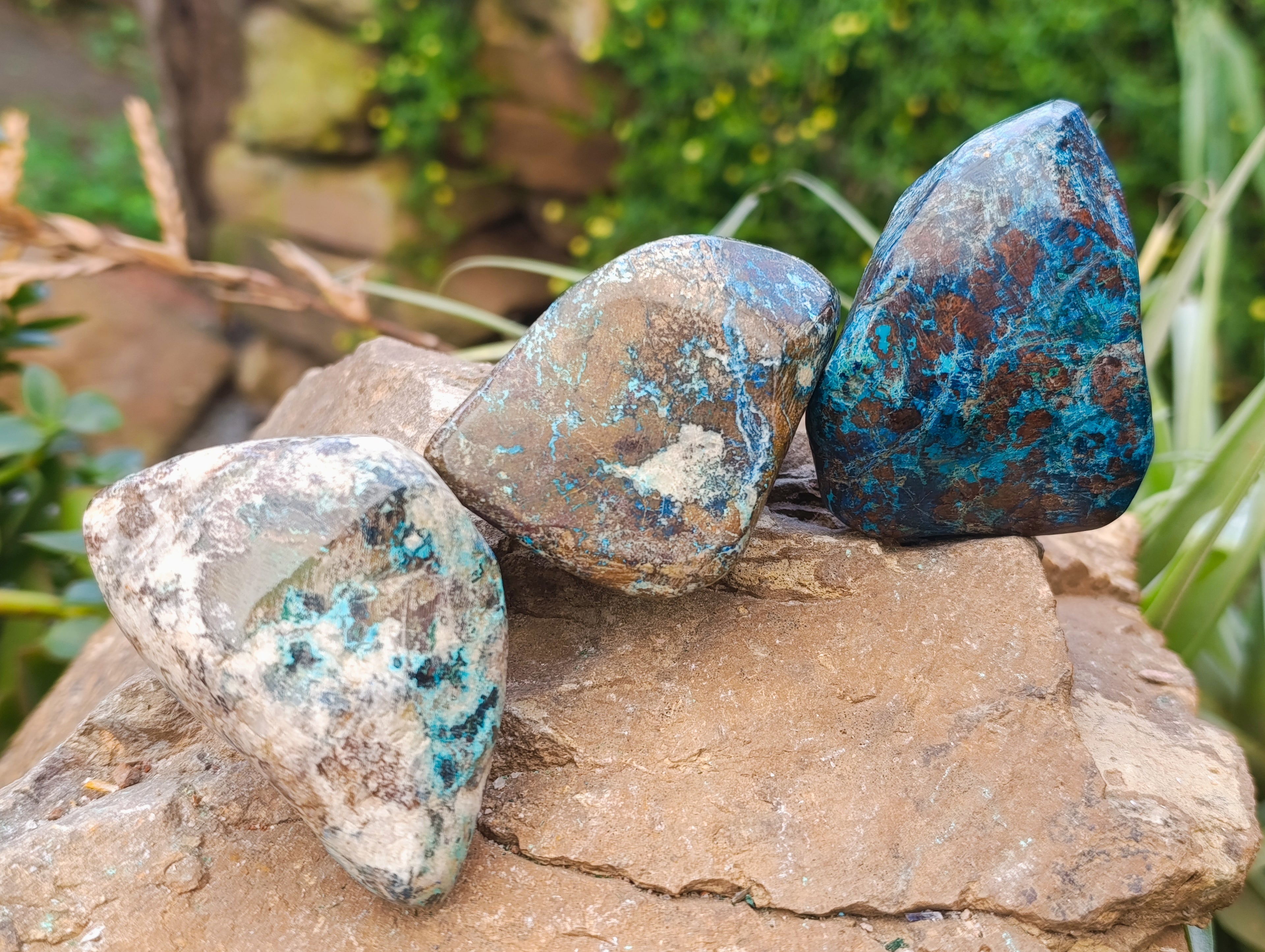 Polished Shattuckite with Azurite and Chrysocolla Free Forms x 4 From Congo - Toprock Gemstones and Minerals 