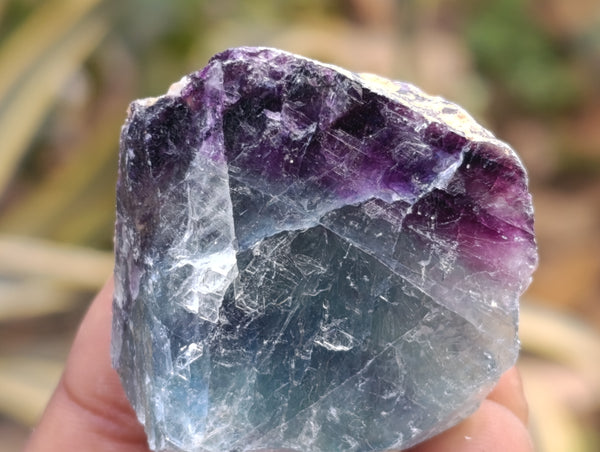 Natural Watermelon Fluorite Cobbed Specimens x 35 From Uis, Namibia