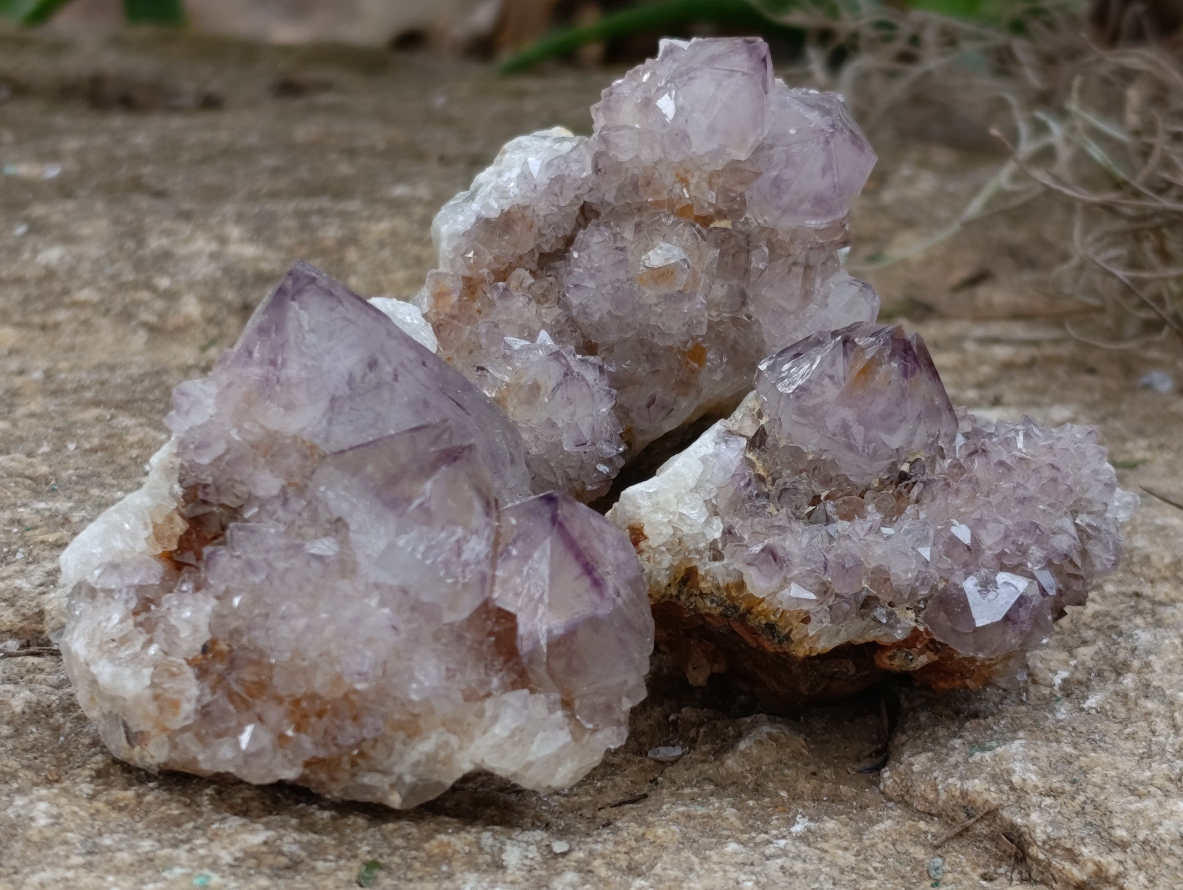 Natural Spirit Quartz Clusters x 20 From Boekenhouthoek, South Africa - Toprock Gemstones and Minerals 