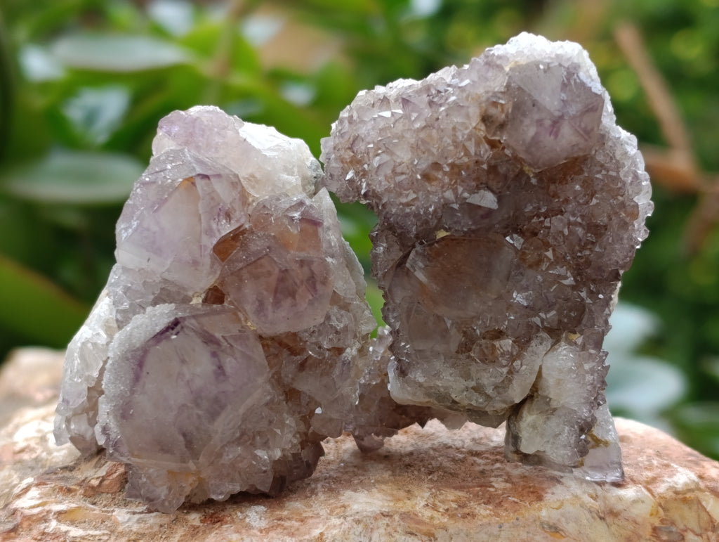 Natural Spirit Quartz Clusters x 20 From Boekenhouthoek, South Africa - Toprock Gemstones and Minerals 