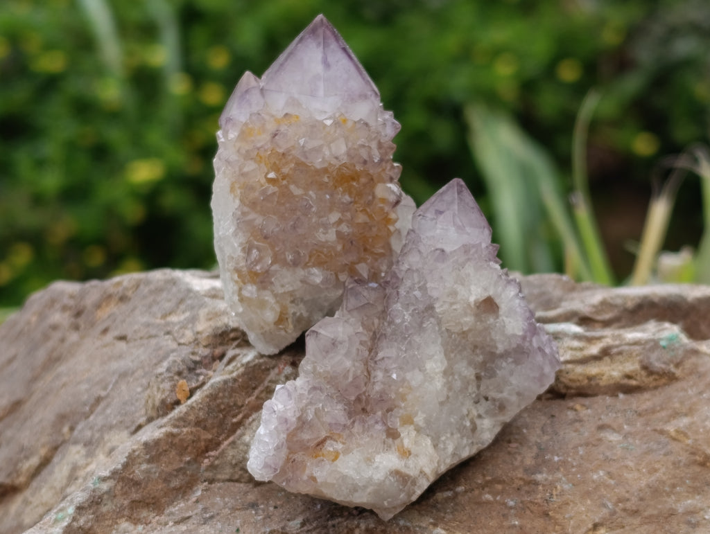 Natural Spirit Quartz Clusters x 20 From Boekenhouthoek, South Africa - Toprock Gemstones and Minerals 
