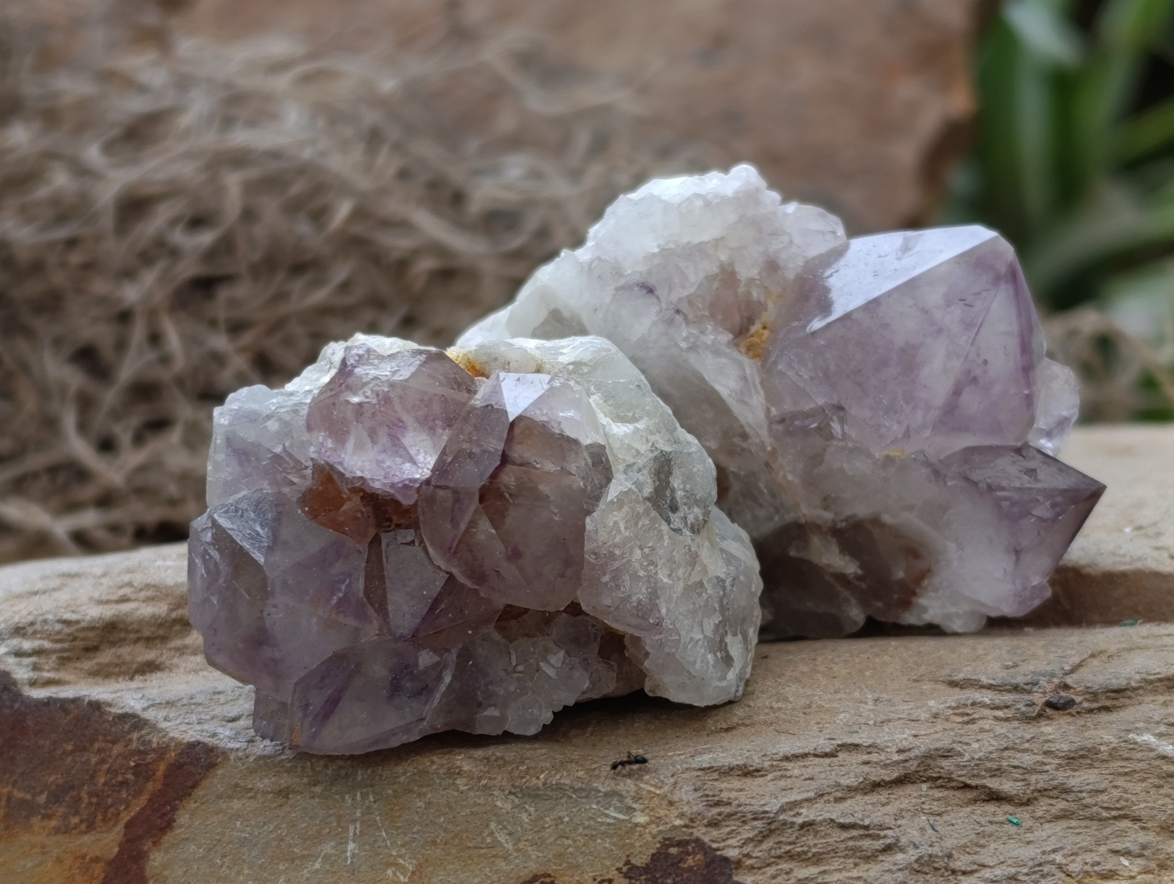 Natural Spirit Quartz Clusters x 20 From Boekenhouthoek, South Africa - Toprock Gemstones and Minerals 