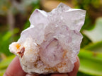 Natural Spirit Quartz Clusters x 20 From Boekenhouthoek, South Africa - Toprock Gemstones and Minerals 