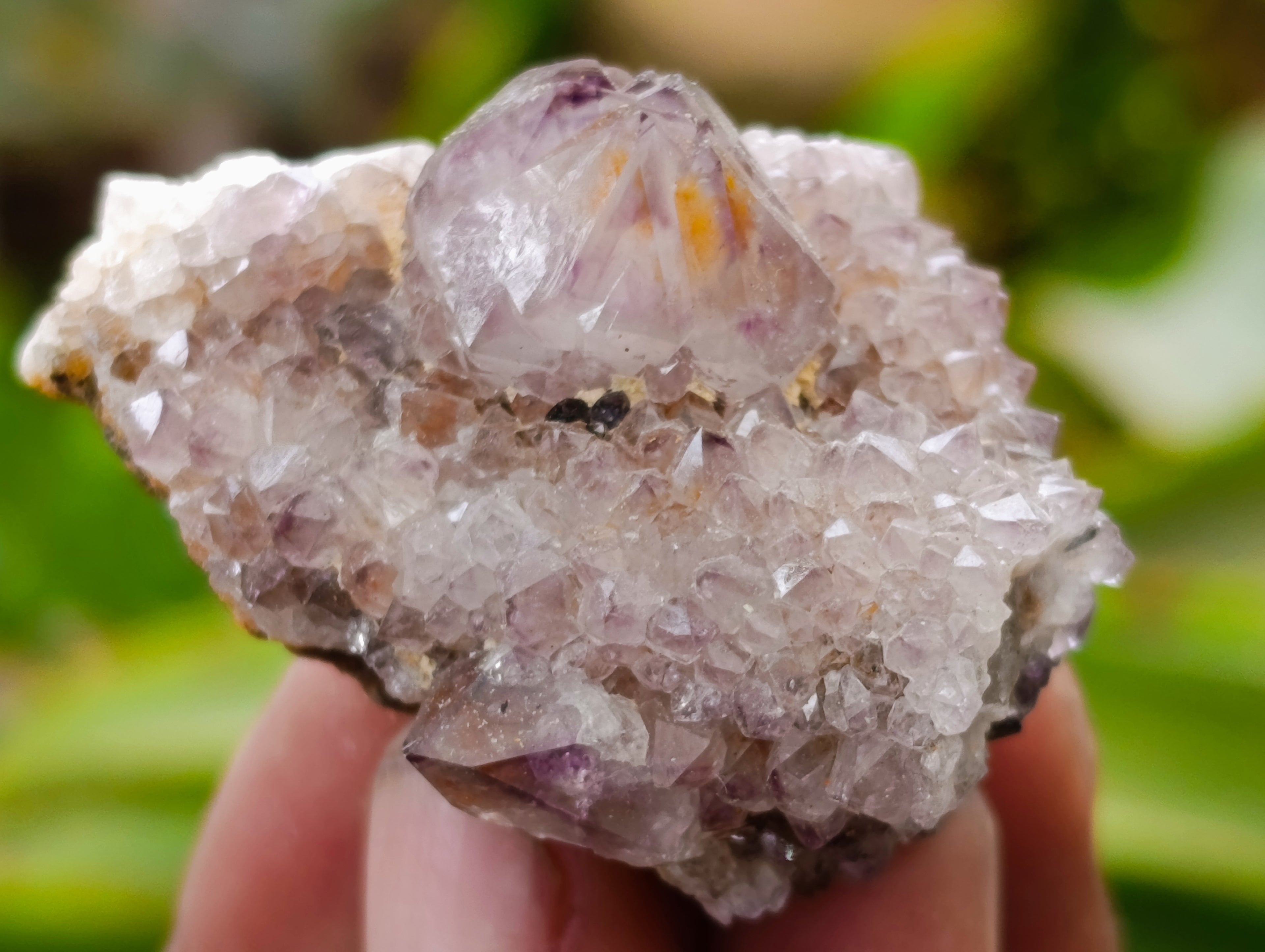 Natural Spirit Quartz Clusters x 20 From Boekenhouthoek, South Africa - Toprock Gemstones and Minerals 