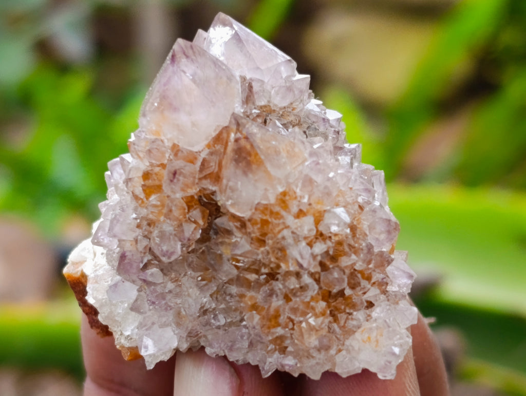 Natural Spirit Quartz Clusters x 20 From Boekenhouthoek, South Africa - Toprock Gemstones and Minerals 