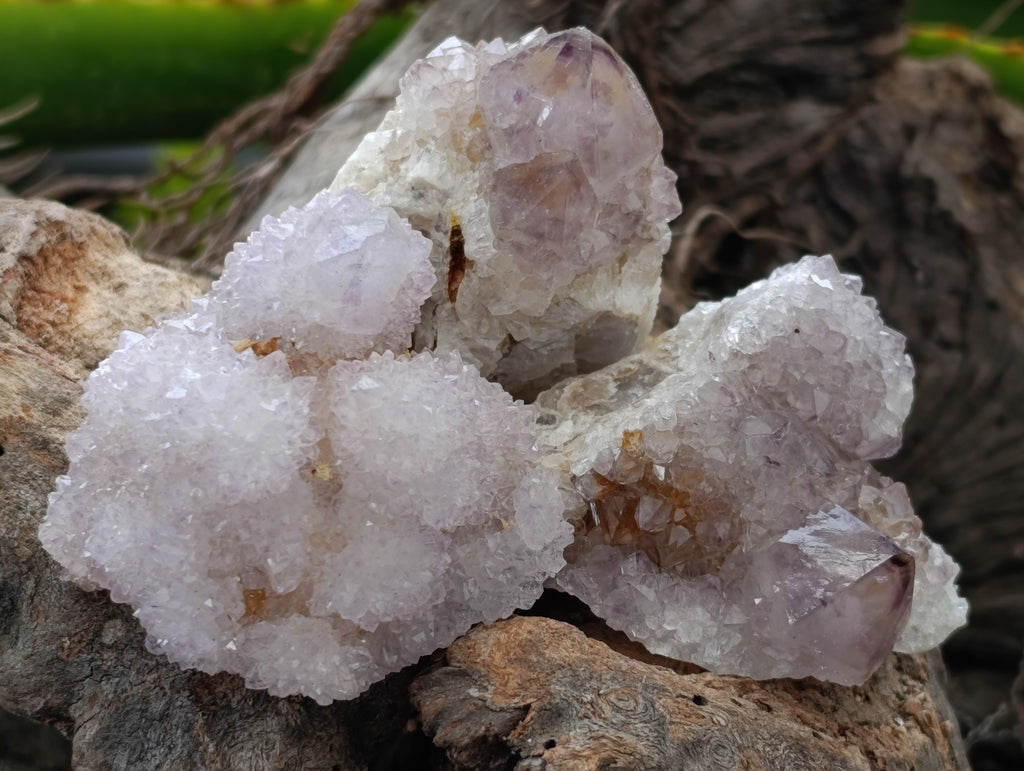 Natural Spirit Quartz Clusters x 20 From Boekenhouthoek, South Africa - Toprock Gemstones and Minerals 