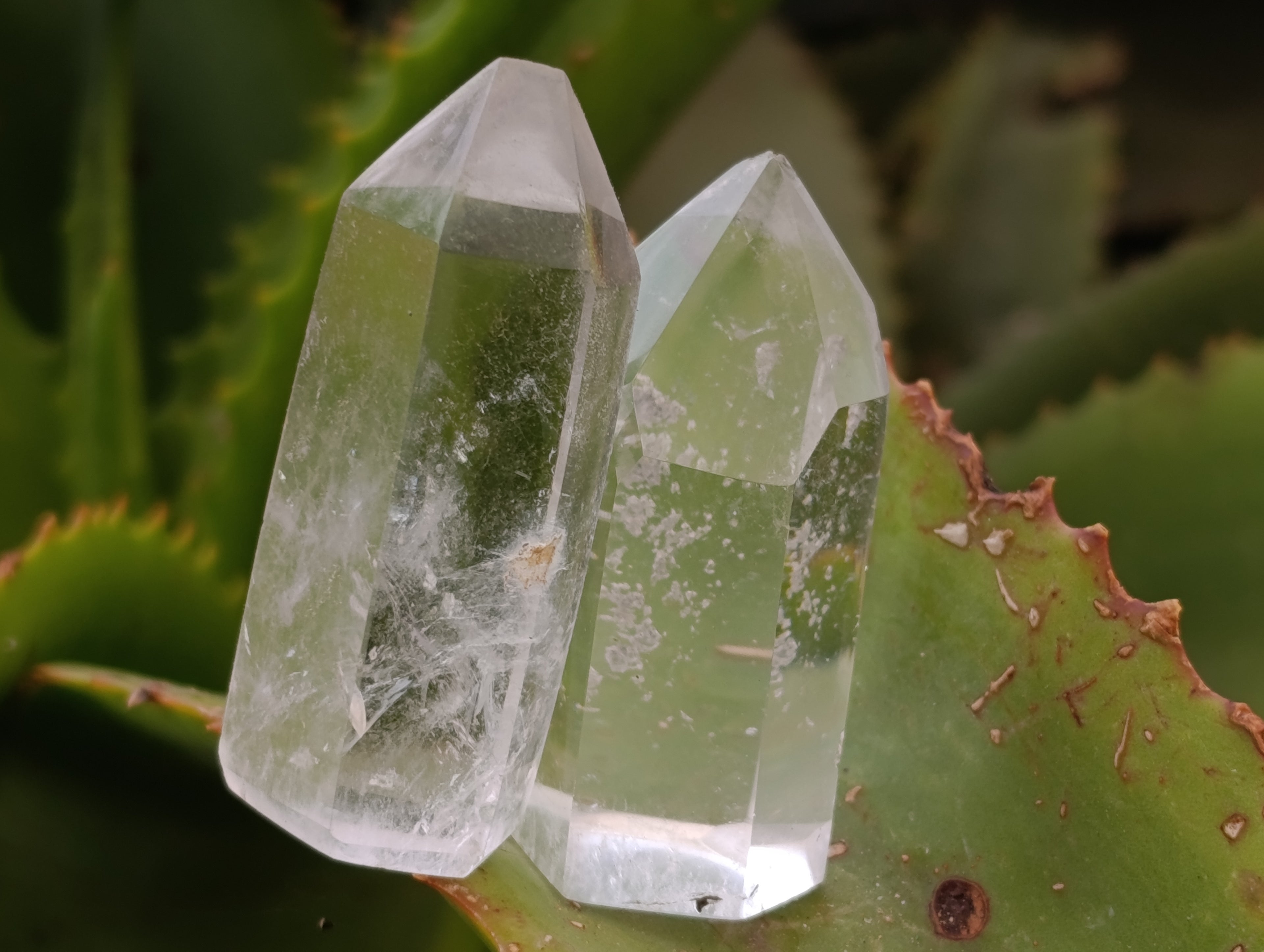 Polished Small Clear Quartz Crystals x 44 From Madagascar - Toprock Gemstones and Minerals 