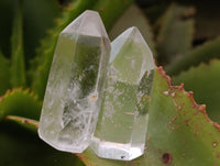 Polished Small Clear Quartz Crystals x 44 From Madagascar