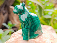 Hand Made Flower Banded Malachite Lion and Cat Carving x 2 From Congo