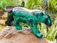 Hand Made Flower Banded Malachite Lion and Cat Carving x 2 From Congo