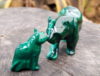 Hand Made Flower Banded Malachite Lion and Cat Carving x 2 From Congo