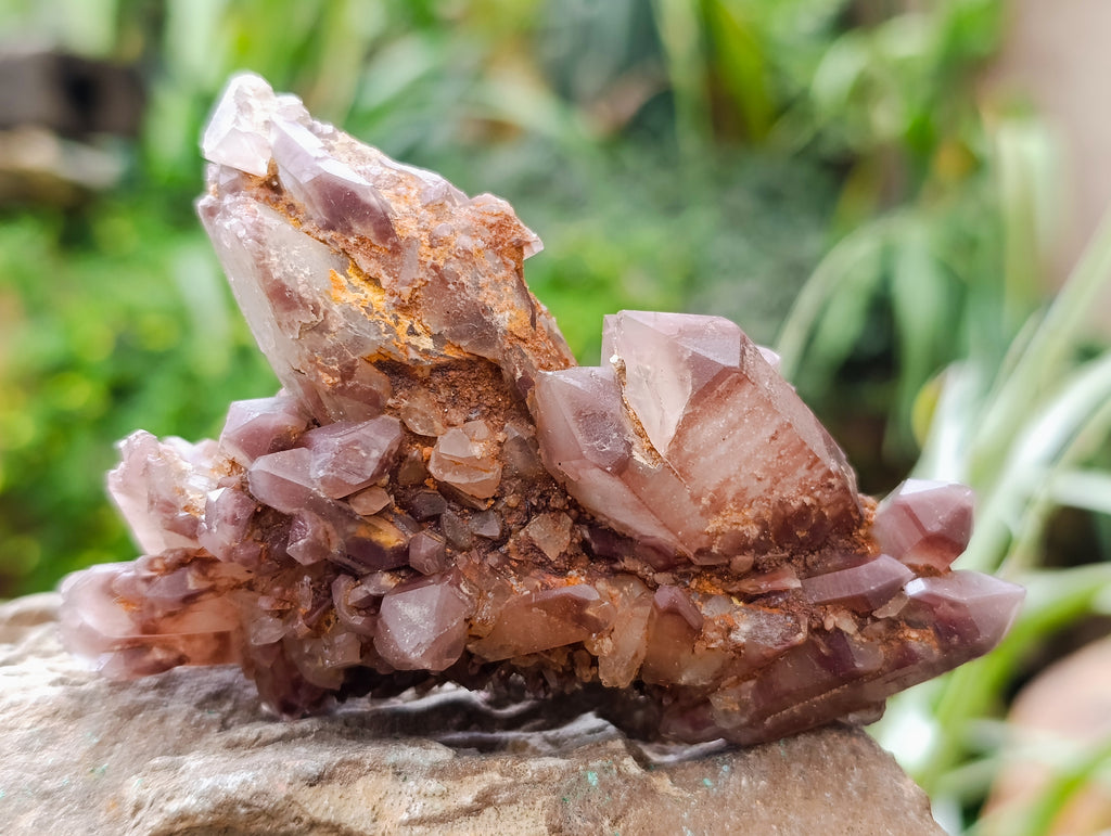 Natural Red Hematoid Quartz Clusters x 6 From Karoi, Zimbabwe - Toprock Gemstones and Minerals 