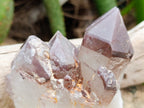 Natural Red Hematoid Quartz Clusters x 6 From Karoi, Zimbabwe - Toprock Gemstones and Minerals 