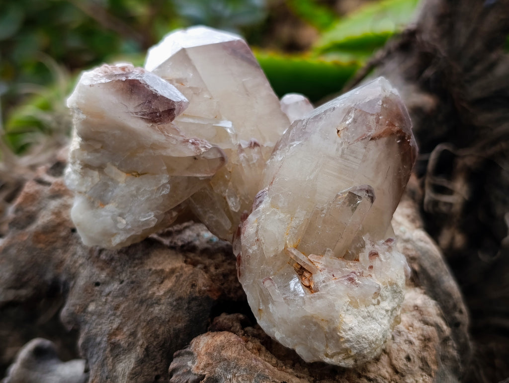 Natural Red Hematoid Quartz Clusters x 6 From Karoi, Zimbabwe - Toprock Gemstones and Minerals 