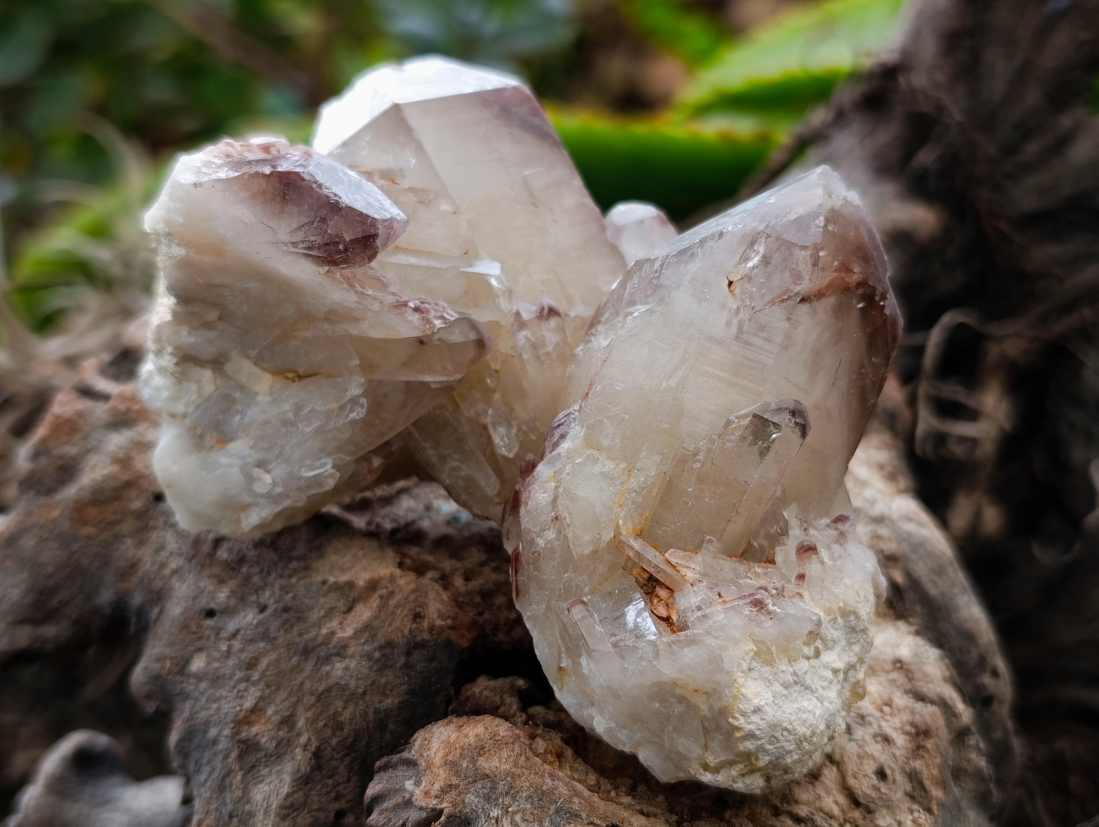 Natural Red Hematoid Quartz Clusters x 6 From Karoi, Zimbabwe - Toprock Gemstones and Minerals 