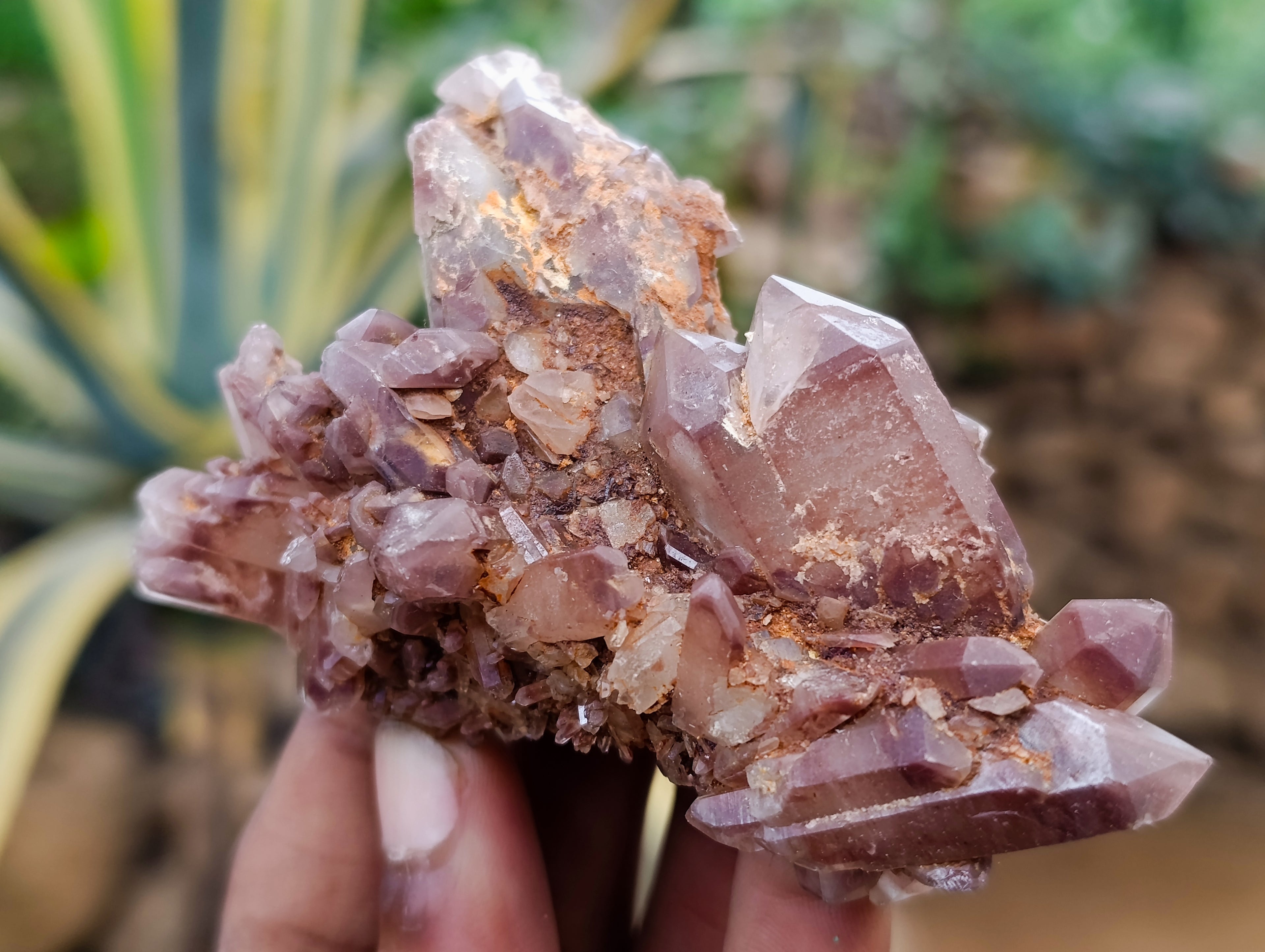 Natural Red Hematoid Quartz Clusters x 6 From Karoi, Zimbabwe - Toprock Gemstones and Minerals 