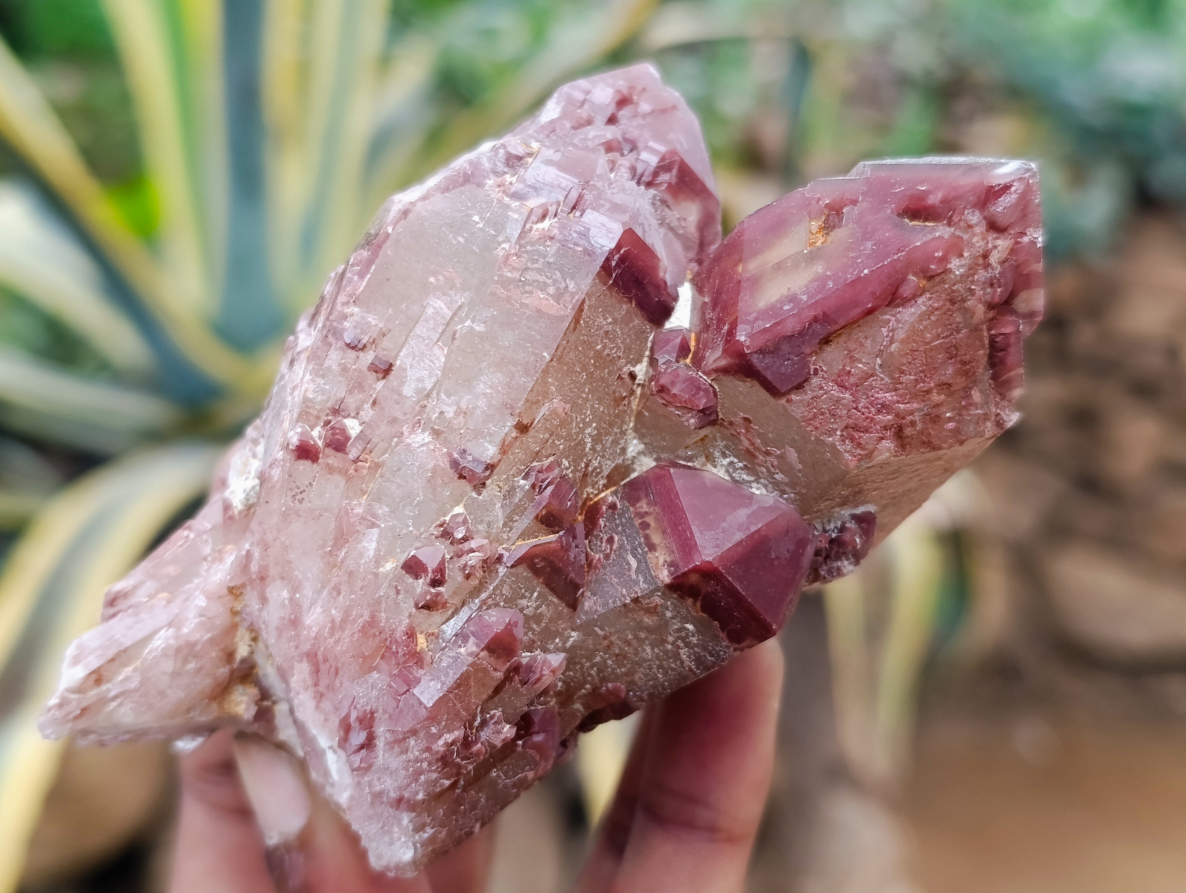 Natural Red Hematoid Quartz Clusters x 6 From Karoi, Zimbabwe - Toprock Gemstones and Minerals 