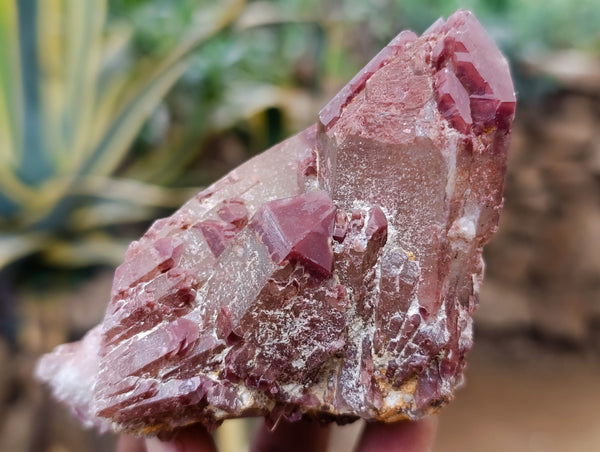 Natural Red Hematoid Quartz Clusters x 6 From Karoi, Zimbabwe - Toprock Gemstones and Minerals 