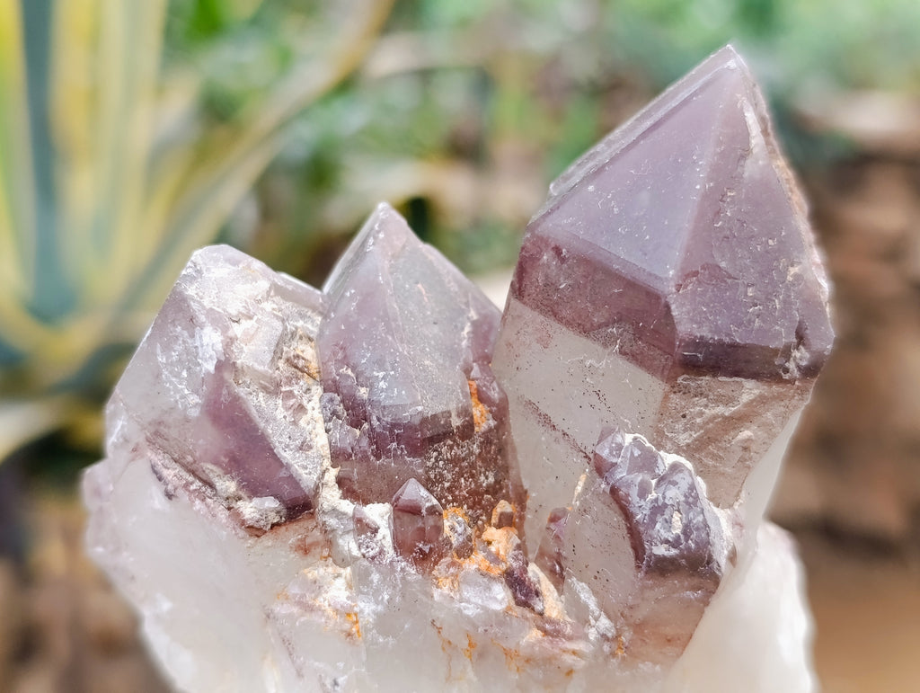 Natural Red Hematoid Quartz Clusters x 6 From Karoi, Zimbabwe - Toprock Gemstones and Minerals 