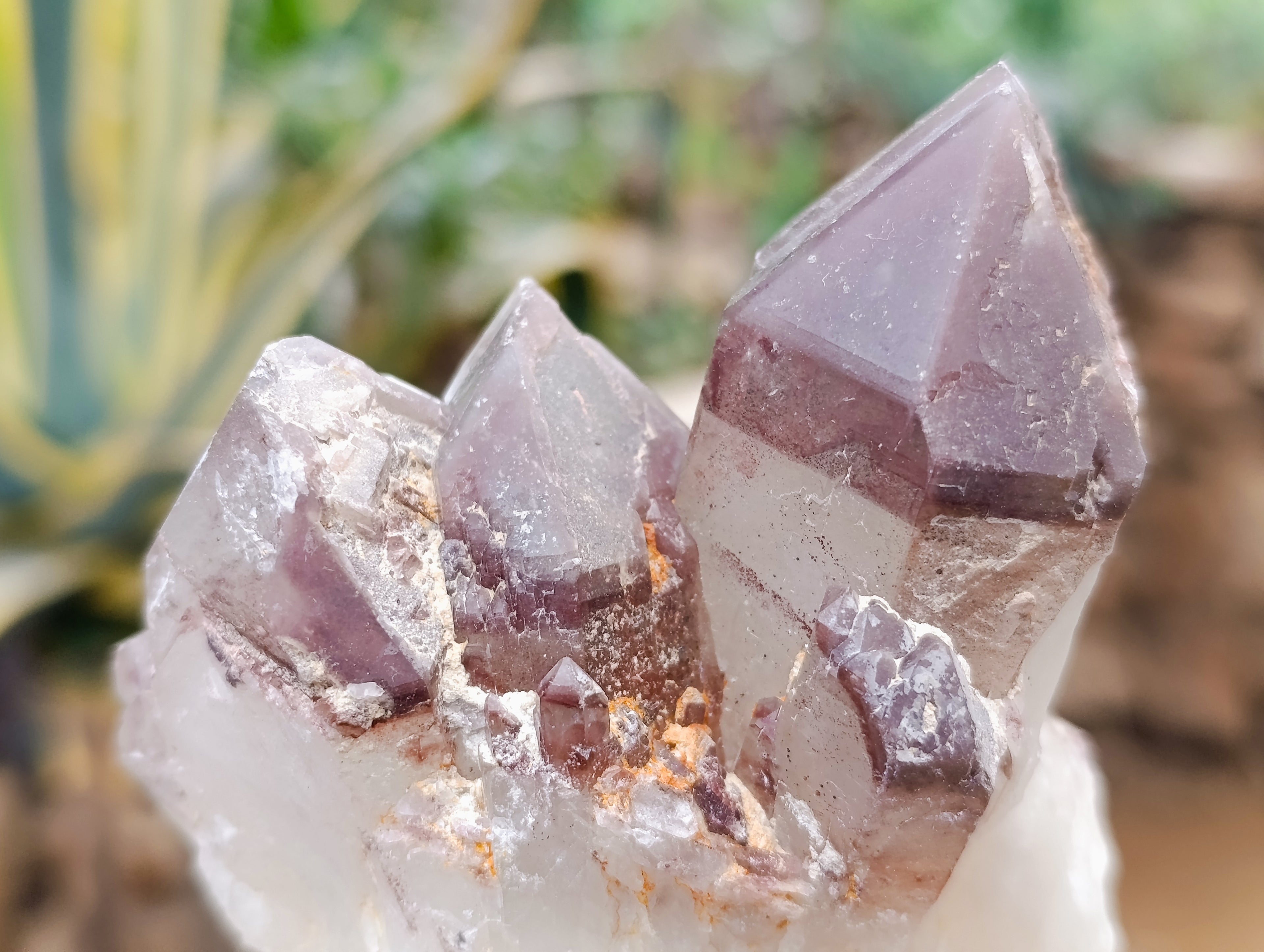 Natural Red Hematoid Quartz Clusters x 6 From Karoi, Zimbabwe - Toprock Gemstones and Minerals 