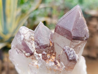 Natural Red Hematoid Quartz Clusters x 6 From Karoi, Zimbabwe - Toprock Gemstones and Minerals 