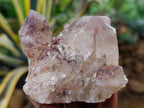 Natural Red Hematoid Quartz Clusters x 6 From Karoi, Zimbabwe - Toprock Gemstones and Minerals 