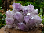 Natural Jacaranda Amethyst Quartz Clusters 2 x from Mumbwa, Zambia - Toprock Gemstones and Minerals 