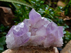 Natural Jacaranda Amethyst Quartz Clusters 2 x from Mumbwa, Zambia - Toprock Gemstones and Minerals 